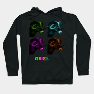 Aries Hoodie